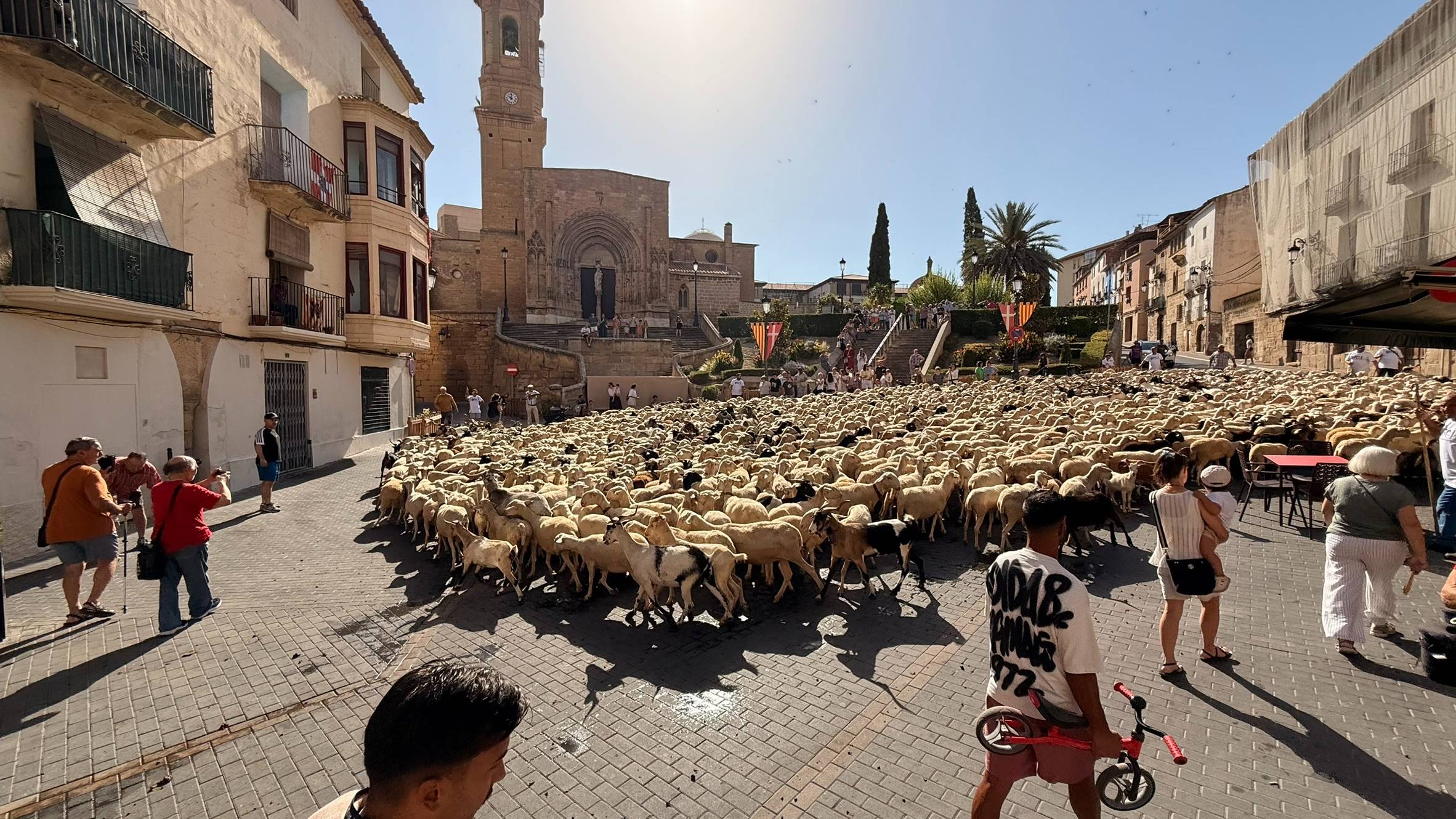 Trashumancia 2026